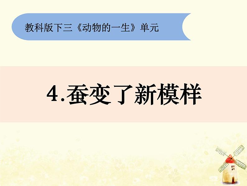 教科版小学科学三下2-4《蚕变了新模样》课件+教案01