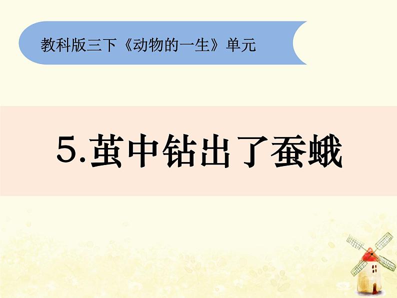 《茧中钻出了蚕蛾》课件 教科版小学科学三下第1页