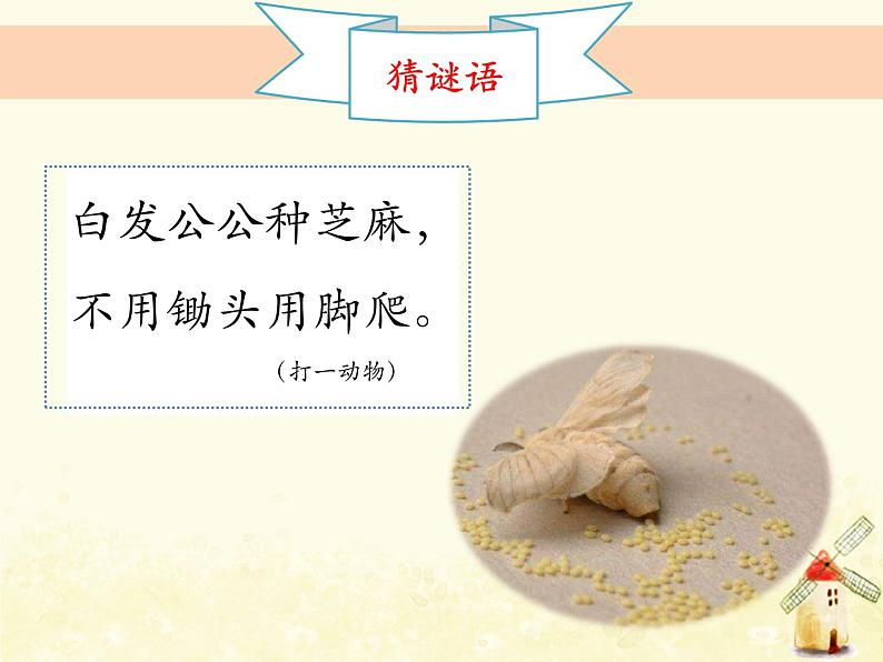 《茧中钻出了蚕蛾》课件 教科版小学科学三下第2页