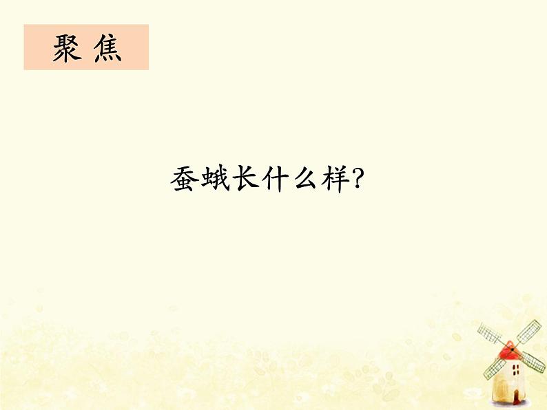 《茧中钻出了蚕蛾》课件 教科版小学科学三下第3页