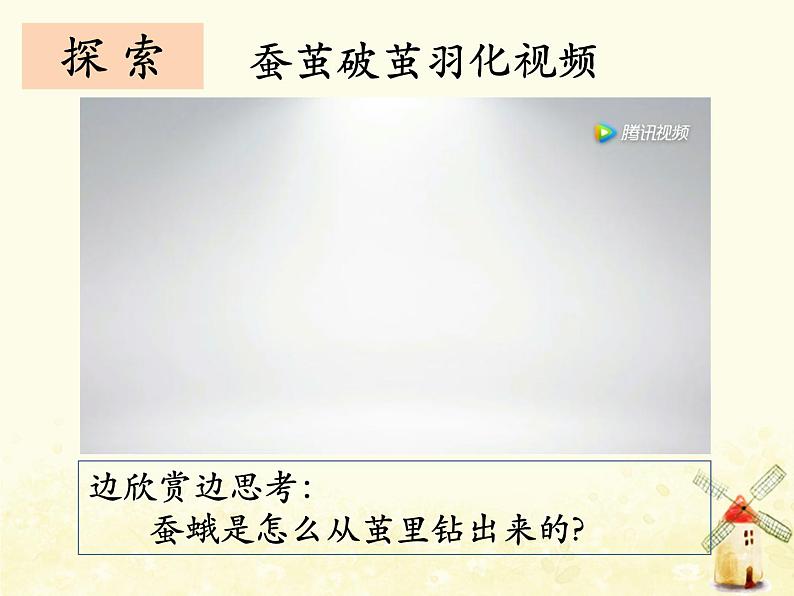 《茧中钻出了蚕蛾》课件 教科版小学科学三下第5页