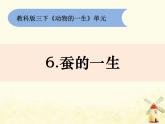 教科版小学科学三下2-6《蚕的一生》课件+教案