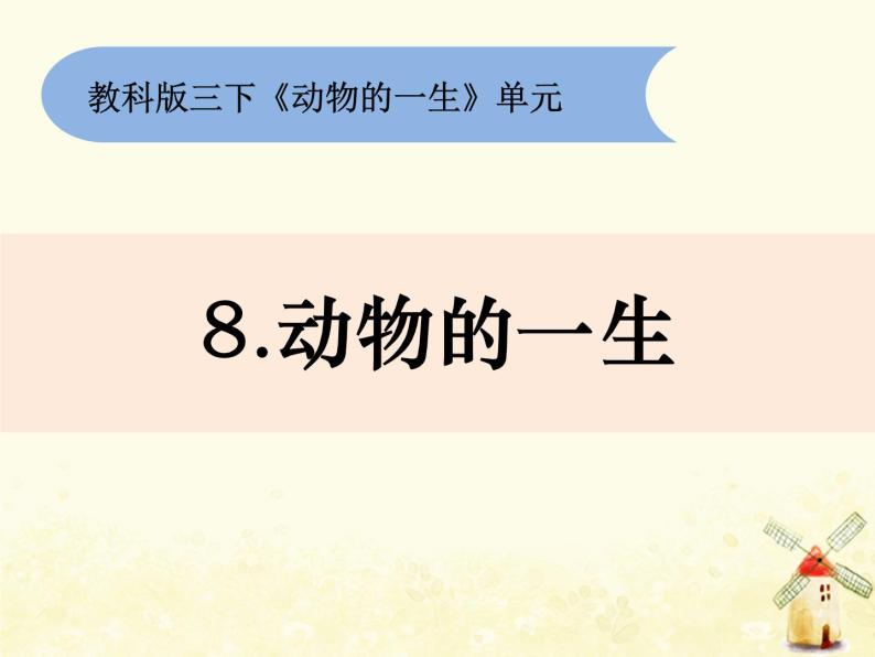 20202021学年8动物的一生优质课ppt课件
