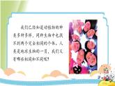 2.5《相貌各异的我们》教学课件 教科版小学科学六下