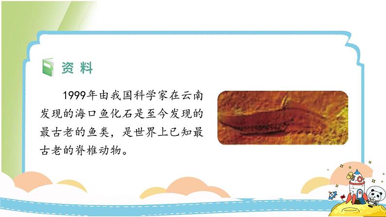 2.6《古代生物的多样性》教学课件 教科版小学科学六下07