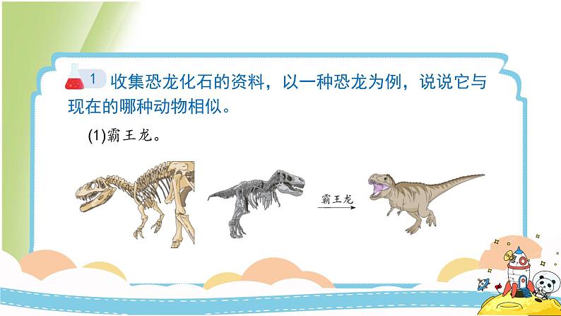 2.6《古代生物的多样性》教学课件 教科版小学科学六下08