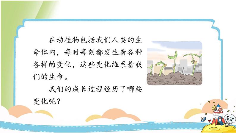 4.6《生命中的化学变化》教学课件 教科版小学科学六下05