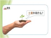 3.6《观察土壤》教学课件 教科版小学科学四下