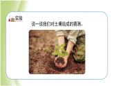 3.6《观察土壤》教学课件 教科版小学科学四下