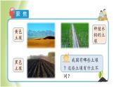 3.7《比较不同的土壤》教学课件 教科版小学科学四下