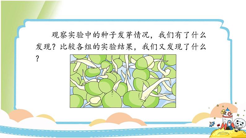 1.2《比较种子发芽实验》教学课件 教科版小学科学五下05