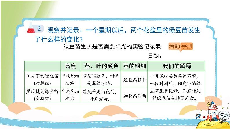 1.3《绿豆苗的生长》教学课件 教科版小学科学五下第8页