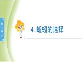 1.4《蚯蚓的选择》教学课件 教科版小学科学五下
