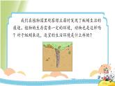 1.4《蚯蚓的选择》教学课件 教科版小学科学五下