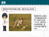 教科版科学三年级下册 1-6《比较相同时间内运动的快慢》 课件+同步教案