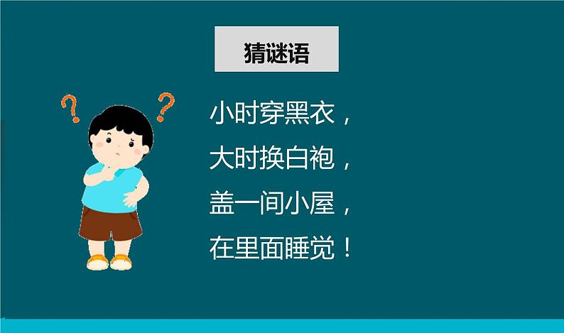 教科版科学三年级下册 2-1《迎接蚕宝宝的到来》 课件第4页
