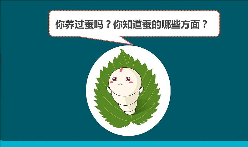 教科版科学三年级下册 2-1《迎接蚕宝宝的到来》 课件第5页