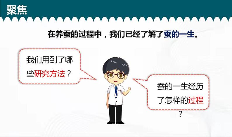 教科版科学三年级下册 2-6《蚕的一生》 课件+同步教案04