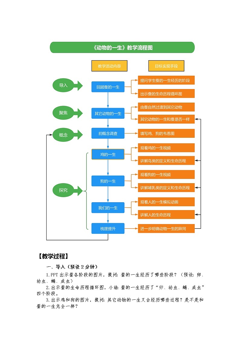 教科版科学三年级下册 2-8《动物的一生》 课件+同步教案03
