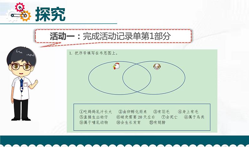 教科版科学三年级下册 2-8《动物的一生》 课件+同步教案07