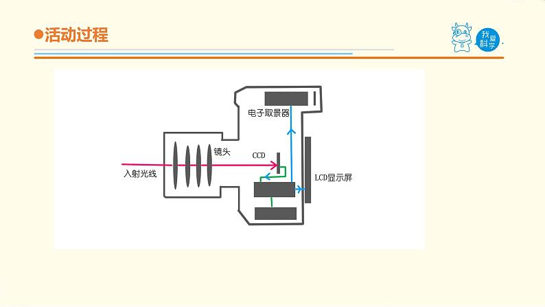 6.《照相机和眼睛》课件 青岛版(六三制)小学科学五下06