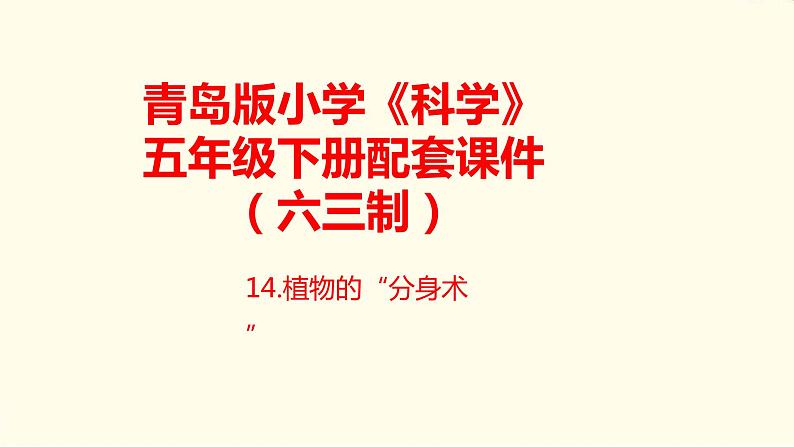 14《植物的“分身术”》课件 青岛版(六三制)小学科学五下01