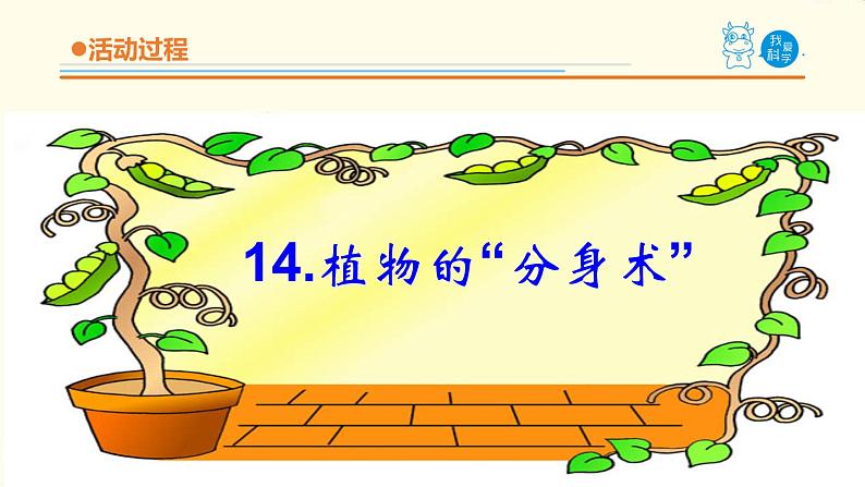 14《植物的“分身术”》课件 青岛版(六三制)小学科学五下04