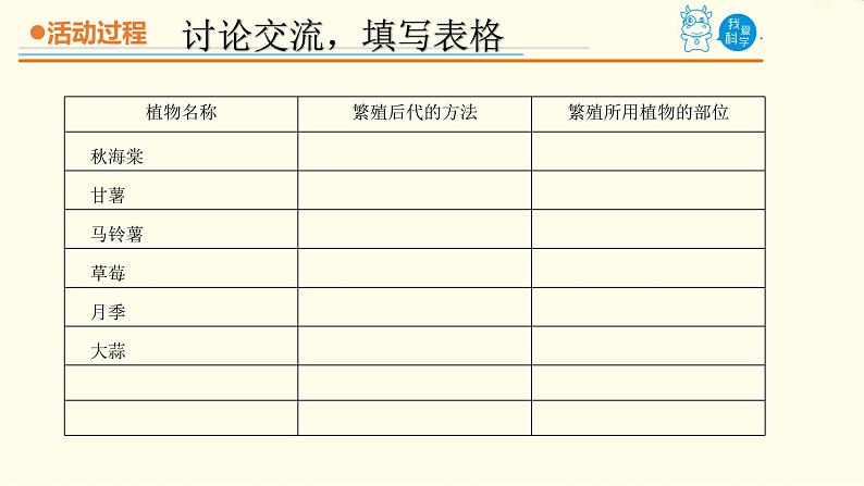 14《植物的“分身术”》课件 青岛版(六三制)小学科学五下07