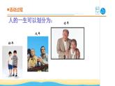 3.《人的一生》教学课件 青岛版(五四制)小学科学五下