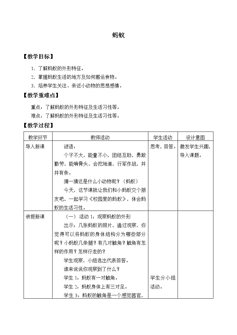 人教鄂教版科学二下3.7《蚂蚁》PPT课件+教案01