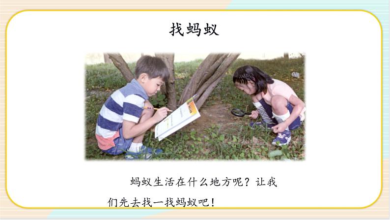 人教鄂教版科学二下3.7《蚂蚁》PPT课件+教案03