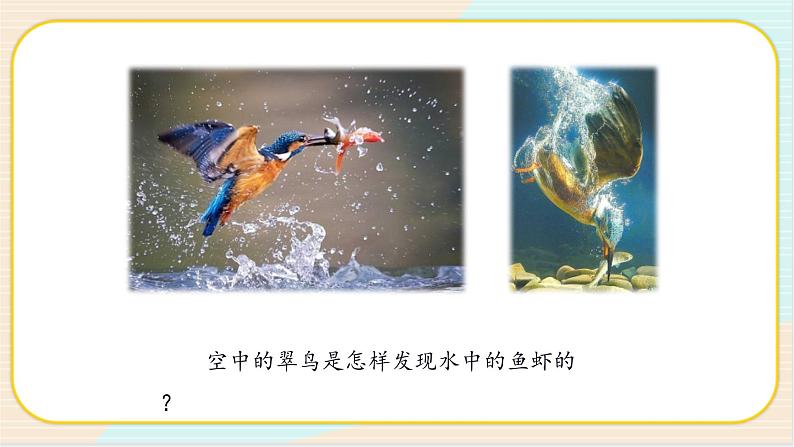 人教鄂教版科学二下3.9《动物的感知本领》PPT课件+教案03