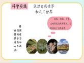 人教鄂教版科學(xué)二下4.10《自然世界與人工世界》PPT課件+教案