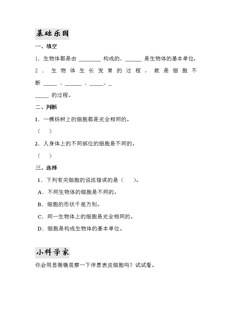 1.《细胞》教学设计 青岛版(六三制)小学科学六下02