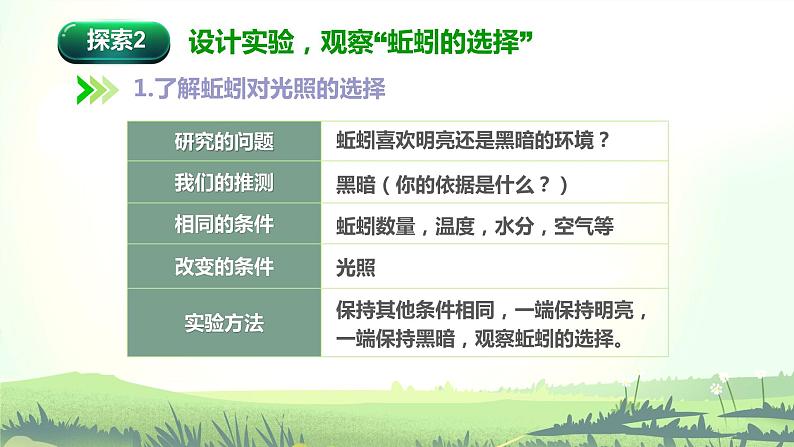 教科版(2017)科学五年级下册1.4《蚯蚓的选择》课件+教案+视频05