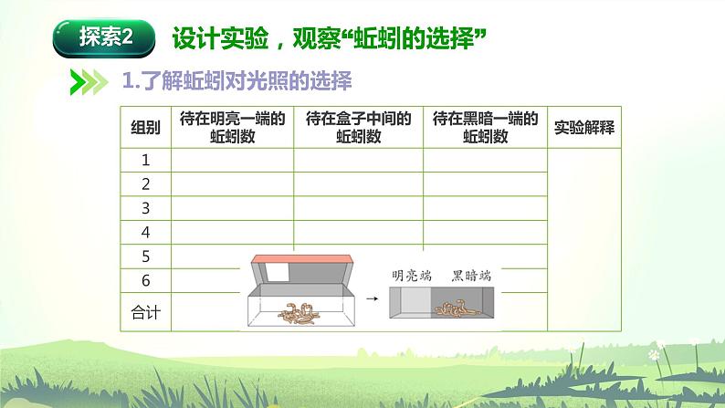 教科版(2017)科学五年级下册1.4《蚯蚓的选择》课件+教案+视频07