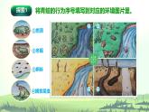 教科版(2017)科學(xué)五年級下冊1.5《當(dāng)環(huán)境改變了》課件+教案