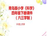 10.《登上月球》课件 青岛版(六三制)小学科学四下