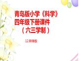 12.《种辣椒》课件 青岛版(六三制)小学科学四下