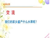 14.《调查家乡植物》课件 青岛版(六三制)小学科学四下