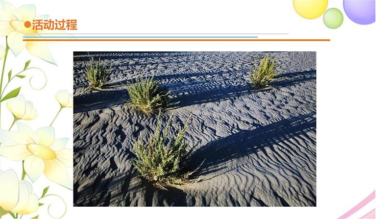 1.《影子》课件 青岛版(六三制)小学科学三下05