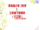 5.《誰(shuí)在水里溶解得多》課件 青島版(六三制)小學(xué)科學(xué)三下