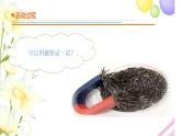 6.《把它們分離》課件 青島版(六三制)小學(xué)科學(xué)三下