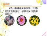 11.《植物的花》课件 青岛版(六三制)小学科学三下