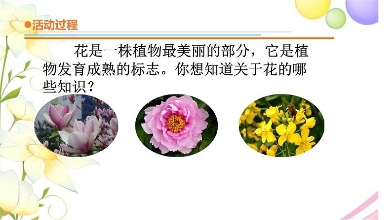 11.《植物的花》课件 青岛版(六三制)小学科学三下第3页