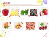 12.《植物的果實(shí)》課件 青島版(六三制)小學(xué)科學(xué)三下