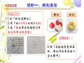 12.《植物的果实》课件 青岛版(六三制)小学科学三下