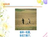 13.《种子发芽了》课件 青岛版(六三制)小学科学三下