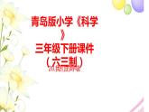 20《我们的呼吸》课件 青岛版(六三制)小学科学三下