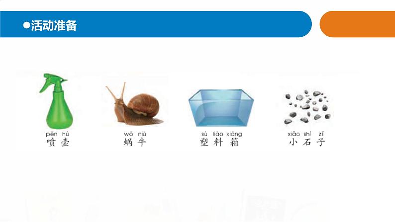 9.《天气与动植物》课件 青岛版(五四制)小学科学二下第2页